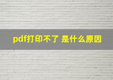 pdf打印不了 是什么原因